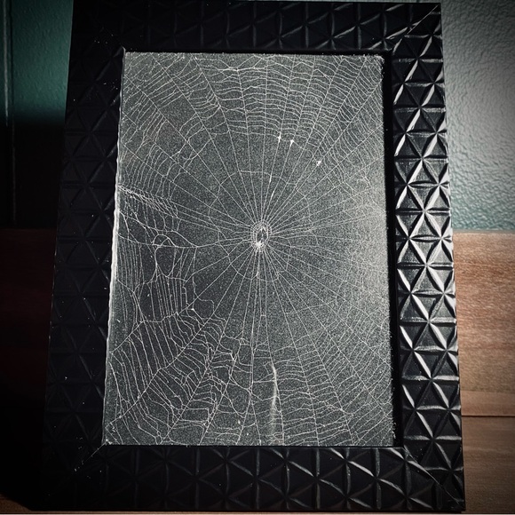 Real Spiderweb Frame 🕷️ 🕸️ - Picture 1 of 7